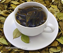 Herbal-Green-Tea-Cup-Leaves